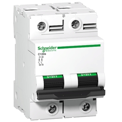 Автоматический выключатель Schneider Electric C120H, 2P, 125A, C (A9N18459)